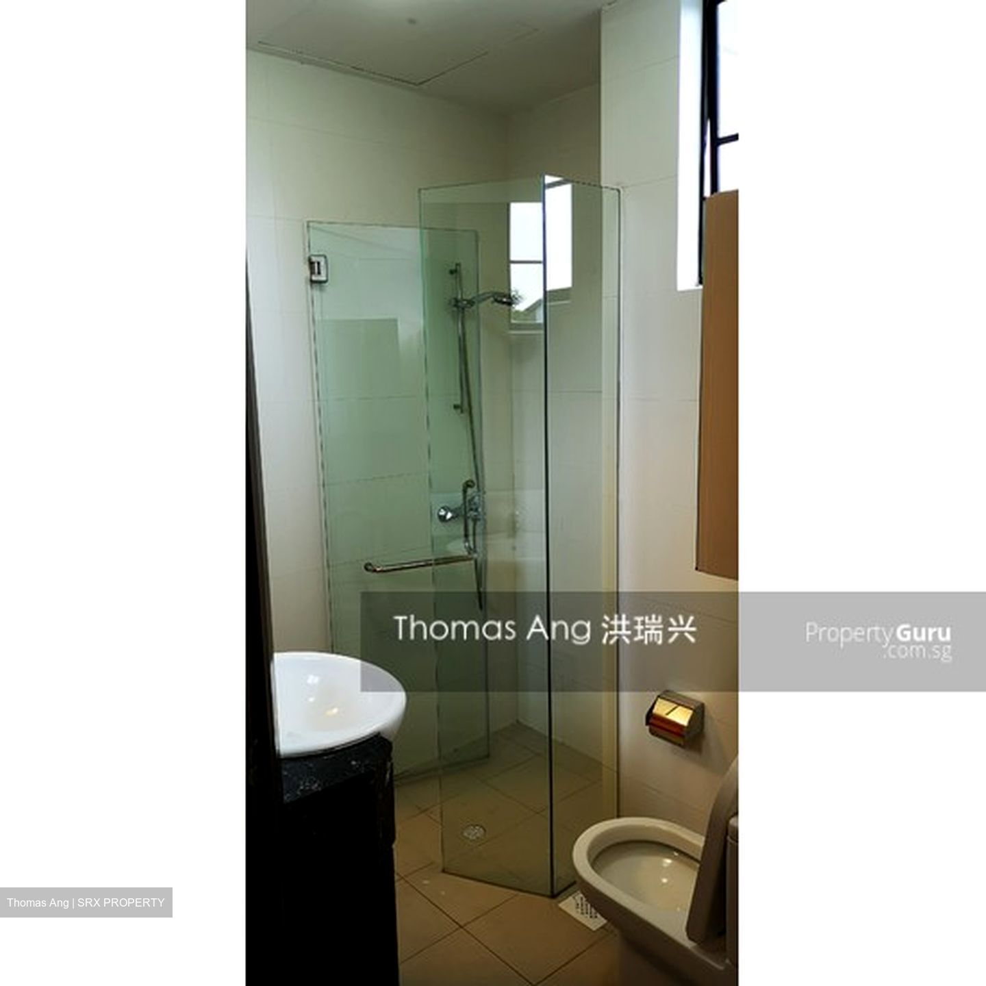 Yuk Tong Avenue (D21), Terrace #553987261